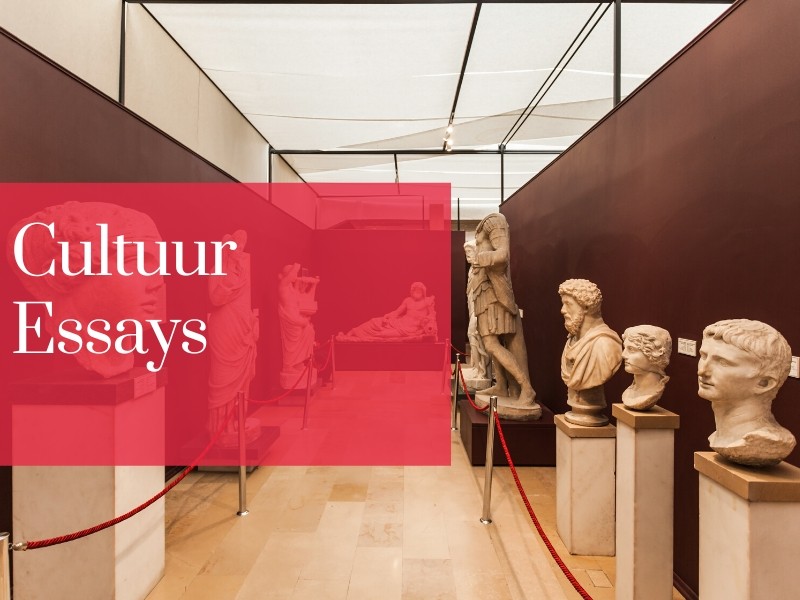 Cultuurwetenschappelijke essays over gevarieerde categories.