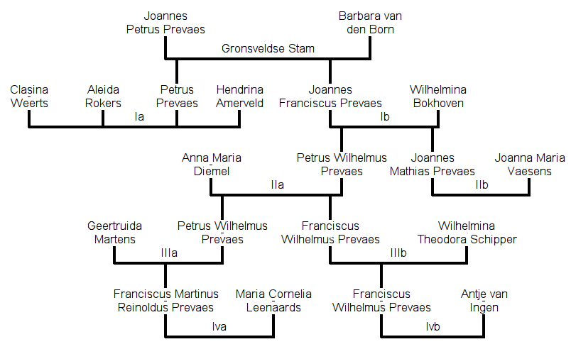 Overzicht van de Bataafse Tak van de familie Prevaes