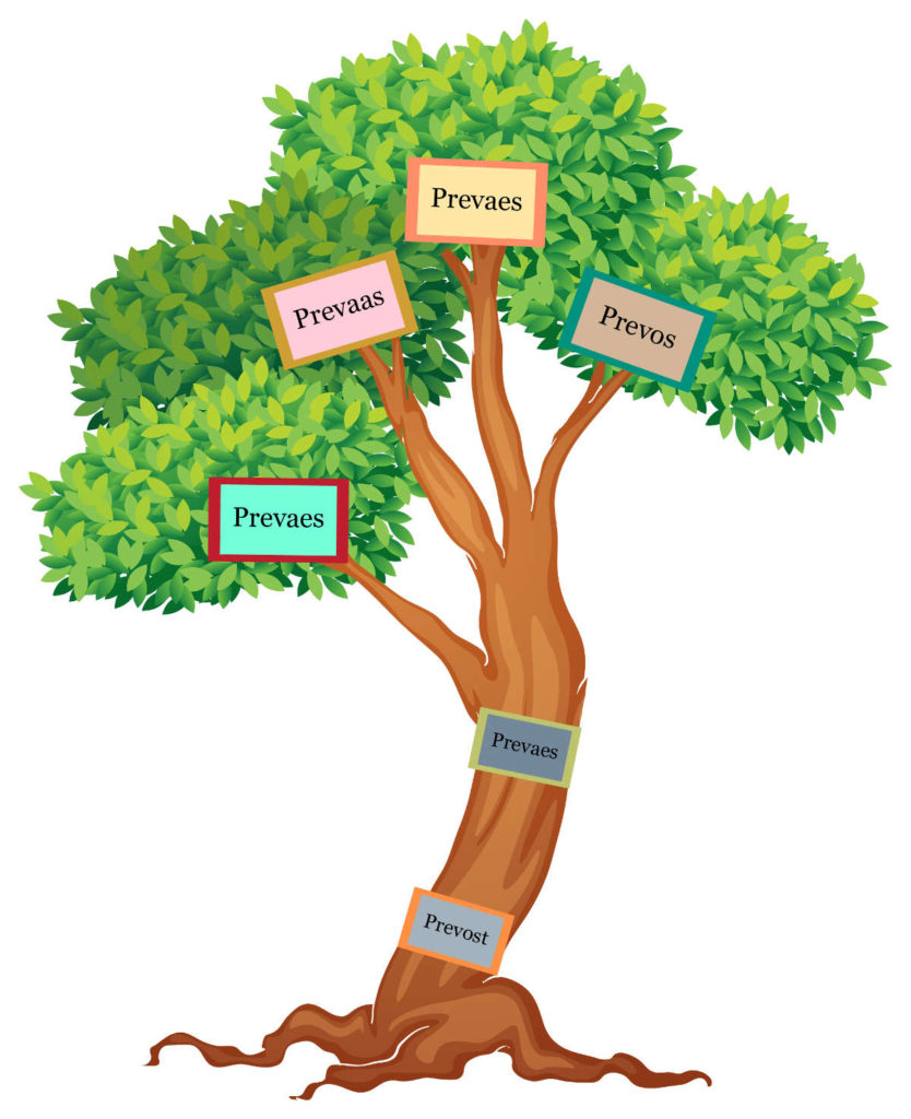 Genealogie Prevaes, Prevos & Prevaas