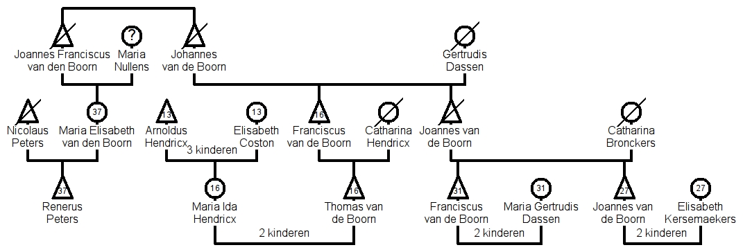 Geneagram familie van de Boorn